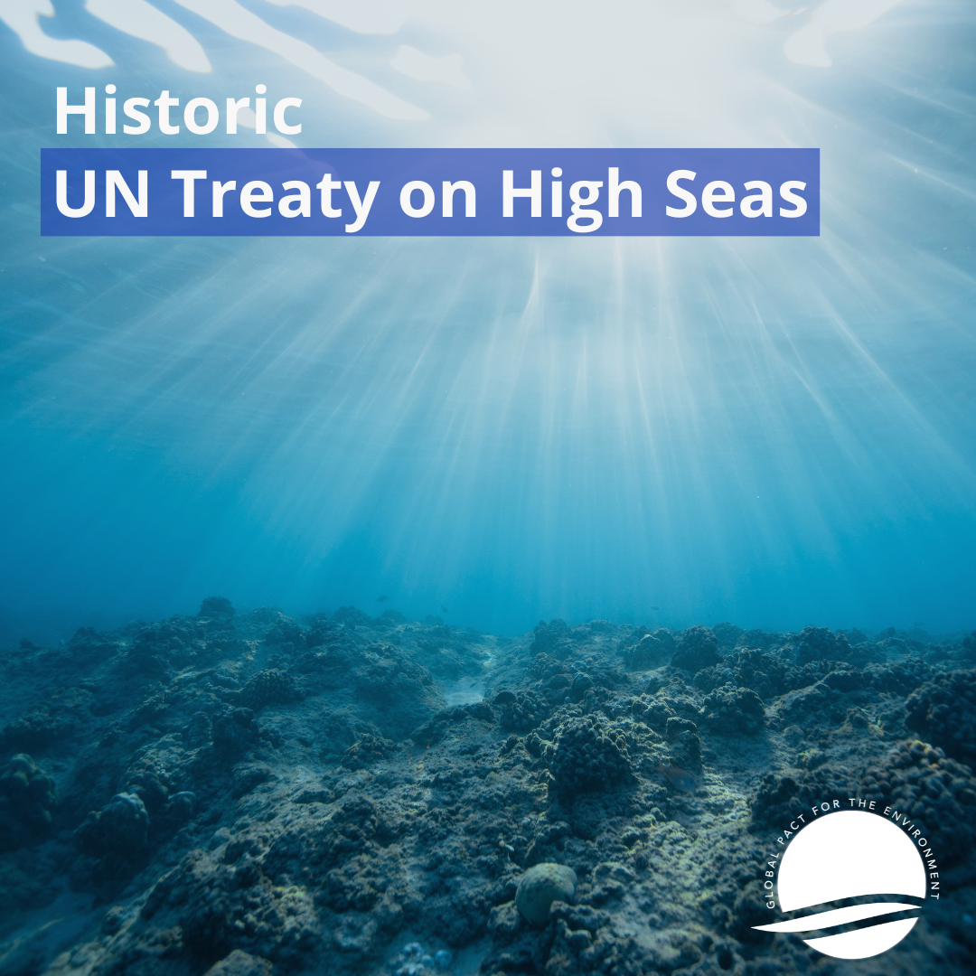 Historic UN Treaty On High Seas - Global Pact For The Environment