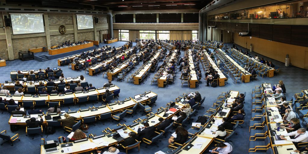 second-consultation-on-un-general-assembly-resolution-73-333-global